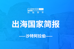 凯发k8官网GO GLOBAL | 沙特阿拉伯国家简报